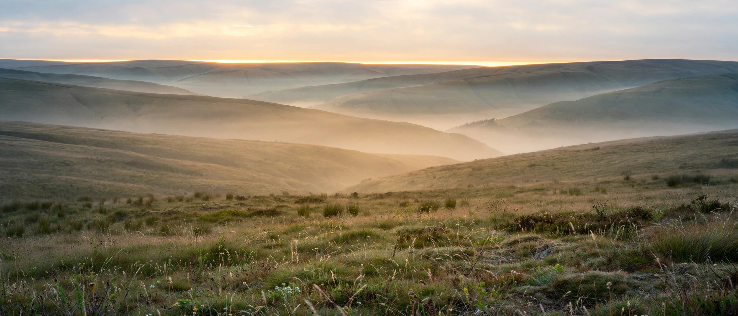First light over rolling hills, a thin gold sunrise along the horizon.